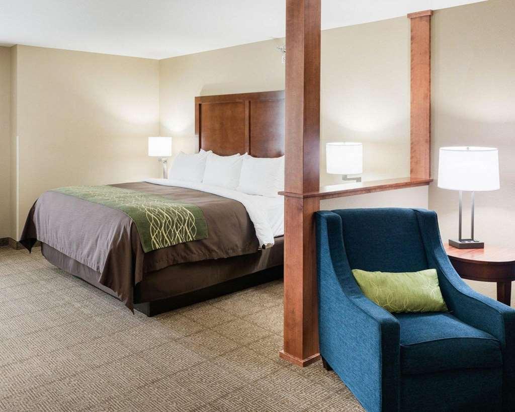 רוצ'סטר Comfort Inn & Suites West - Medical Center חדר תמונה