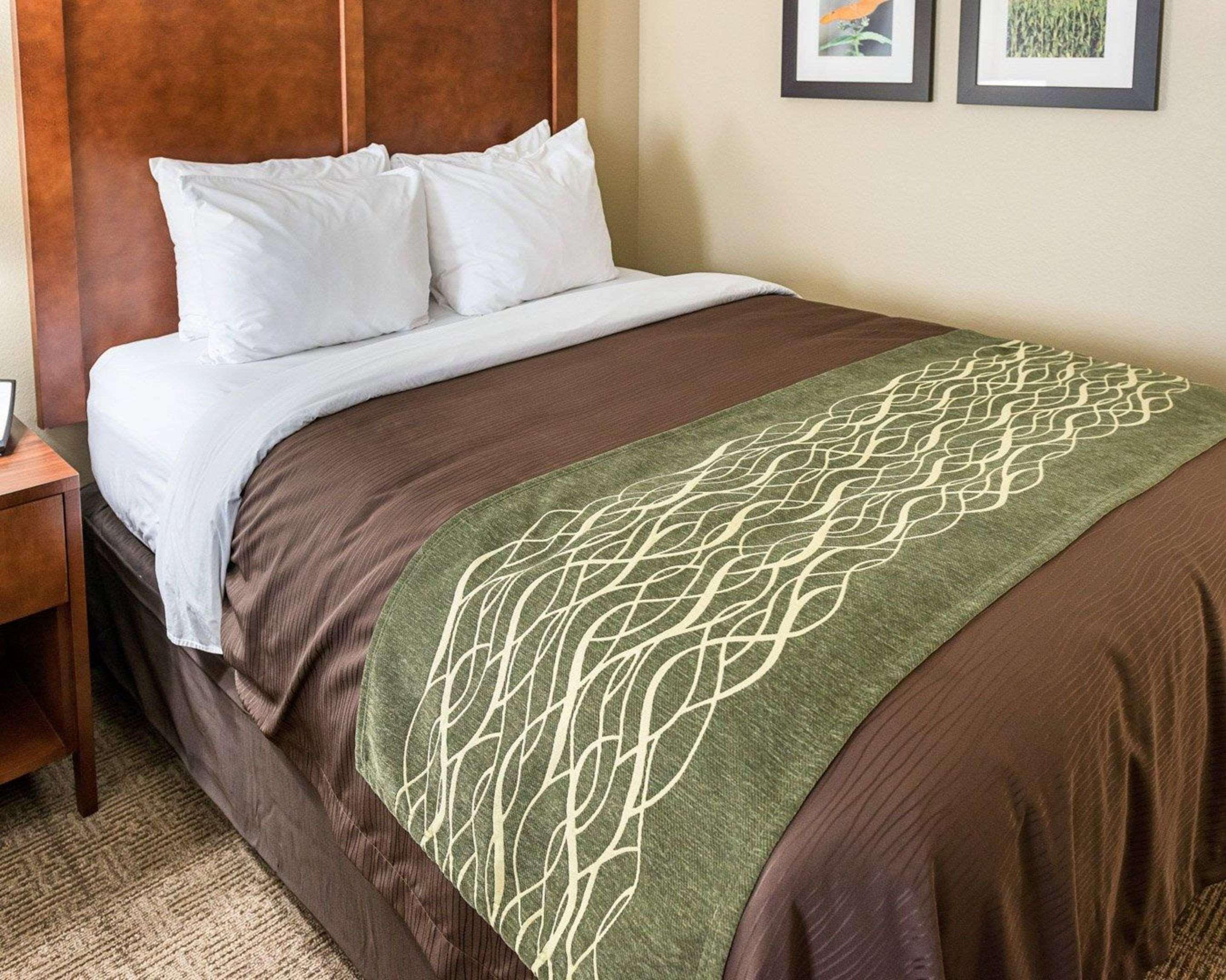רוצ'סטר Comfort Inn & Suites West - Medical Center מראה חיצוני תמונה