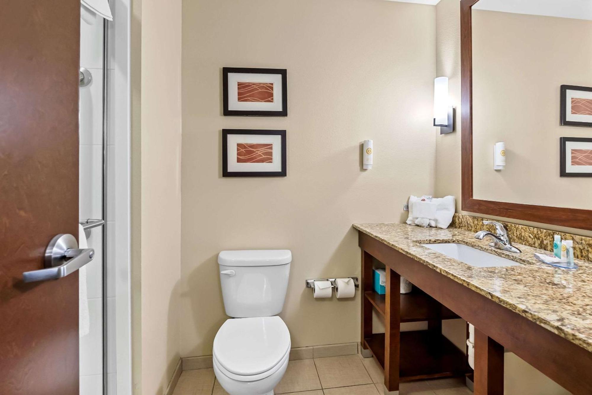 רוצ'סטר Comfort Inn & Suites West - Medical Center מראה חיצוני תמונה